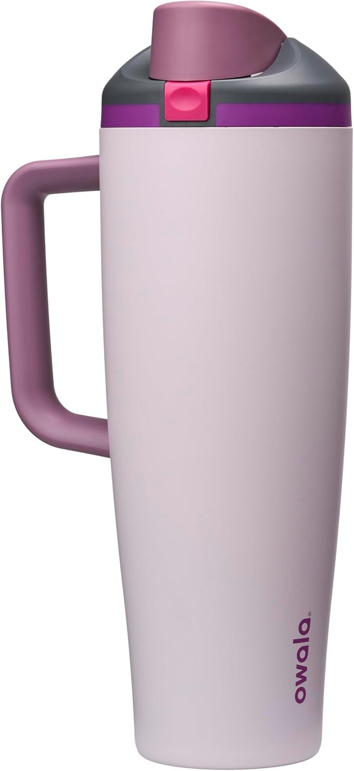 Owala FreeSip Tumbler Insulated Stainless Steel Water Bottle with Built-in Straw and Side Handle, For Travel, Work, School, and Sports, BPA Free, Leak Proof, 40oz, Dreamy Field
